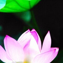 ✨️スッキリ✨️お悩み相談🍀【電話・zoom・対面可能】