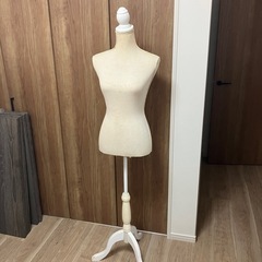 レディーストルソー