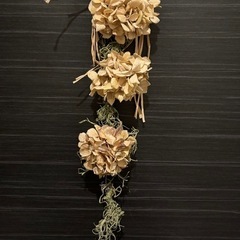 ドライフラワー　3連　紫陽花