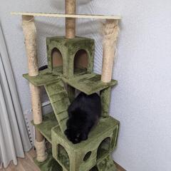 15日までキャットタワー キャットツリー 据え置き 高さ 170...