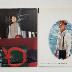 デラックスカラーシネアルバム/ブラッド・ピット2/ミッキー・ローク/芳賀書店/映画/男優/写真集の画像