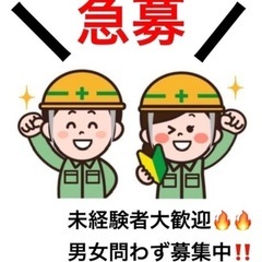 鍛治工事【寮完備】【急募】