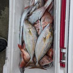 釣人募集中です。 − 熊本県