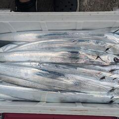 釣人募集中です。 - メンバー募集