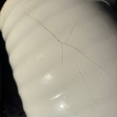 胡蝶蘭用　植木鉢　陶器鉢　化粧鉢の画像