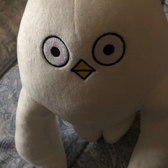 はじめまして松尾です。ぬいぐるみ