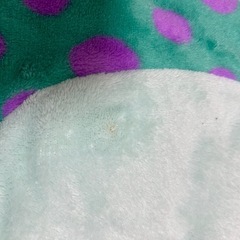 サリー　ディズニー　ハロウィン　着ぐるみの画像