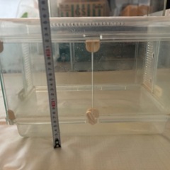 グラスハーモニーケージ35センチ②の画像