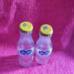 バヤリース　2本セット　空き瓶　蓋付属　昭和レトロの画像