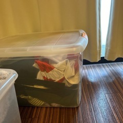 アイリス高い所BOXの画像