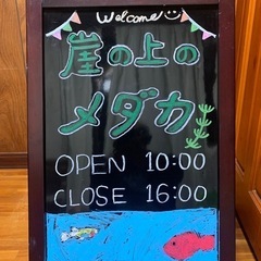 10/12土　メダカ好き交流会(メダカ5匹プレゼント)