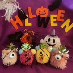 自分好みに作って育てる苔玉モスペット👻ハロウィン
