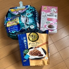 猫餌