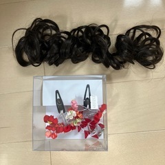 【交渉中】髪飾り、付け毛