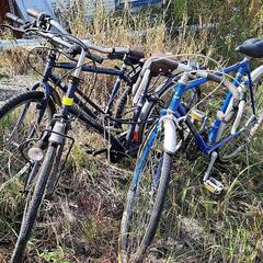 自転車