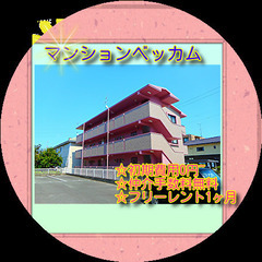 🧵マンションベッカム201号室🧵🎀初期費用0円~🎀宅配ボッ…