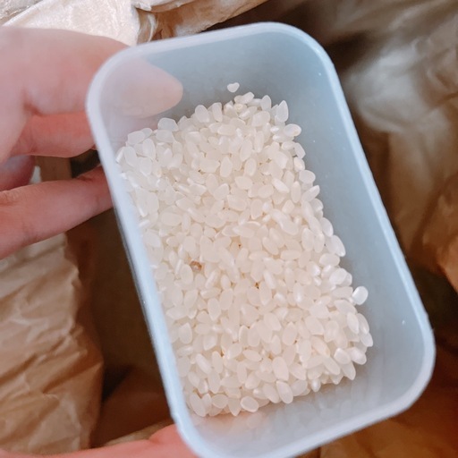 精米済み古米（昨年度）