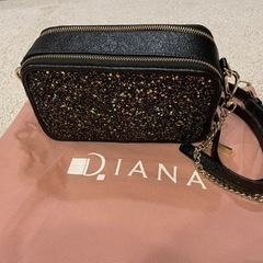 DIANA グリッターチェーンショルダーバック　 ブラック