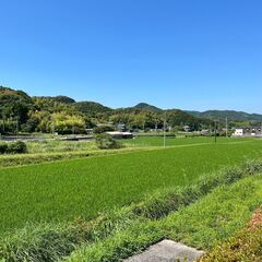 夜勤・オンコールなし！残業月3h以内！これまでの経験しっかり活かせる看護師求人！の画像