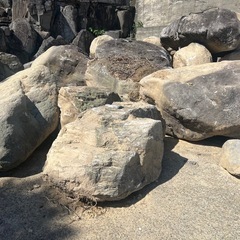 庭石
