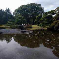 皇居ウォークしよう🎵