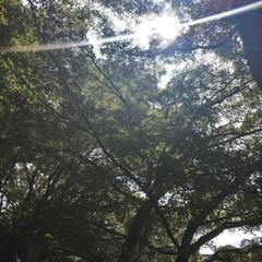 皇居ウォークしよう🎵 - 友達