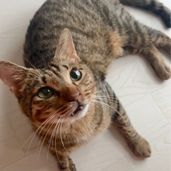 甘えたの男の子、いつでも人とくっ付いていたい