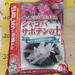 1009-124 腐葉土