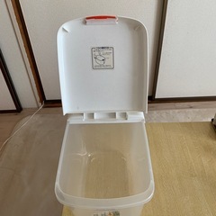 ピーターラビット　収納ボックスの画像