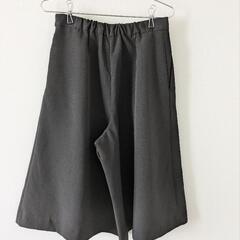 VISキュロットスカートの画像
