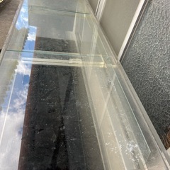 大型アクリル水槽の画像