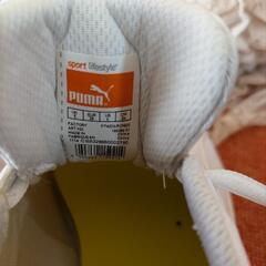 PUMA/プーマ　エクスペダイト　FTWDS 24cmの画像