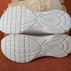 PUMA/プーマ　エクスペダイト　FTWDS 24cmの画像