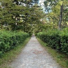 お散歩仲間募集🚶🏻‍♀️𓂃 𓈒𓏸