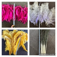 サンバ衣装/パーツ等の画像