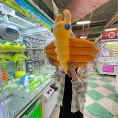 新潟に嫁いだ専業主婦妊婦です