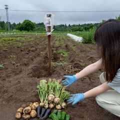 ＳＮＳ広報担当者の画像