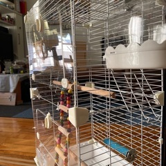 鳥かごセット
(大きめ)の画像