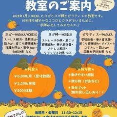 ヨガ•ピラティス•ヨガ棒教室メンバー募集
