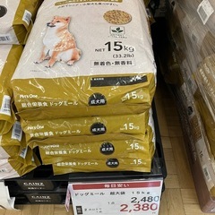 🎄🐕🎁ドックフード🐕無料‼️の画像