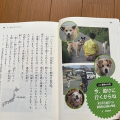 10分で読める本当にあった感動物語の画像