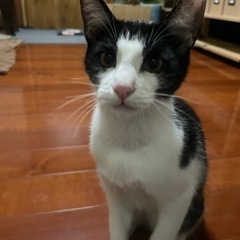 可愛いがってください①