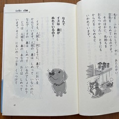なぜ？どうしつて？科学のお話の画像