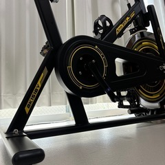 ALINCO　アルインコ　スピンバイクの画像
