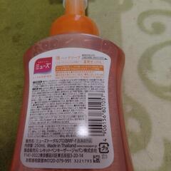 ミューズ　の画像