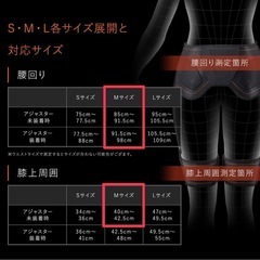 SIXPAD Bottom Belt Mサイズの画像