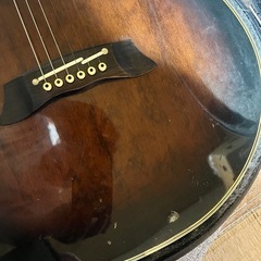 【無料】タカミネエレアコ
PT106の画像