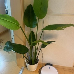 最終値下げ造花