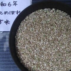 ひとめぼれ、みやこがねもち、つや姫のくず米 とり、鶏、鳥、家畜などのエサにいかがでしょうかの画像