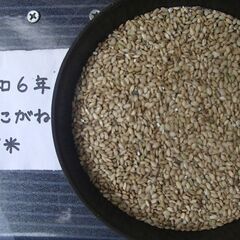 ひとめぼれ、みやこがねもち、つや姫のくず米 とり、鶏、鳥、家畜などのエサにいかがでしょうかの画像